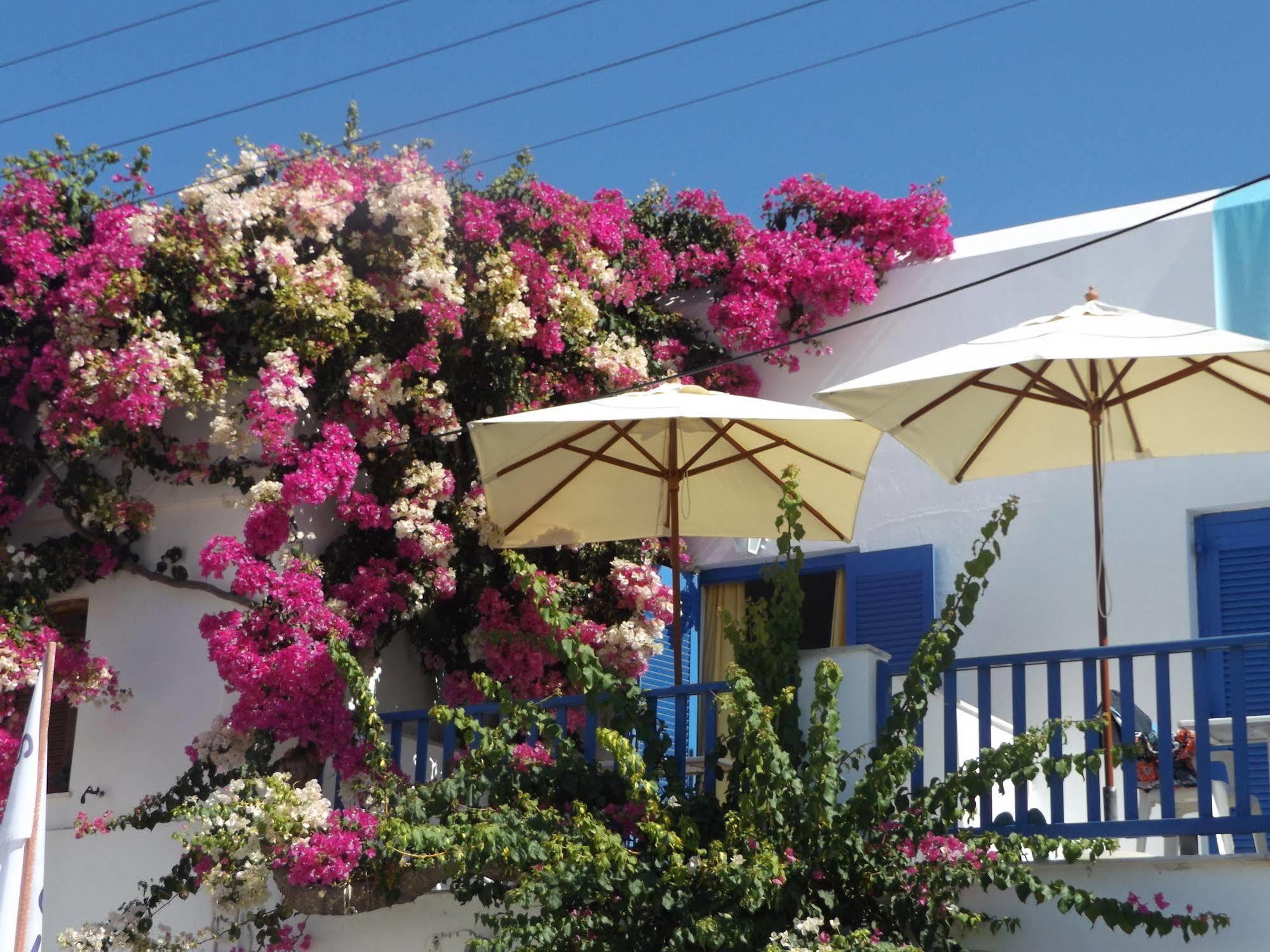 Stergia Hotel Páros 外观 照片